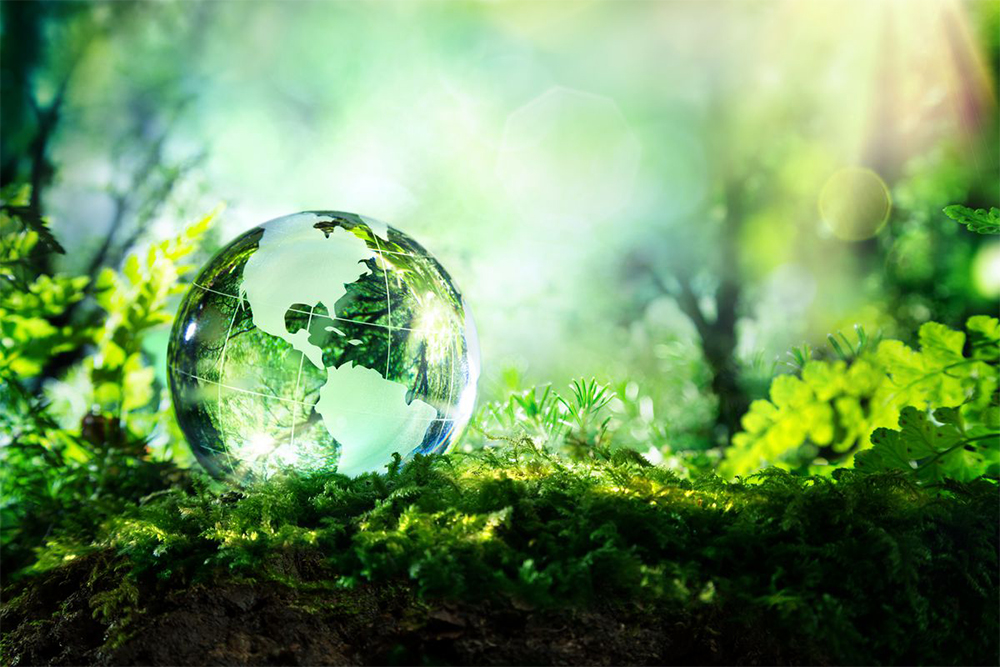 15 Sustainable Use Practices for Business
