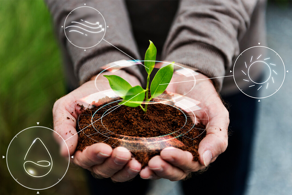 Why is Sustainability Important in Business?