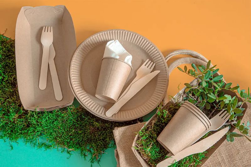 Disposable Plates vs. Compostable Plates: Making Eco-friendly Choices