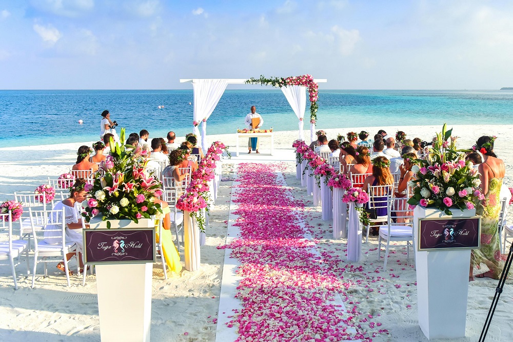 How Can Compostable Utensils Minimize Wedding Expenses?