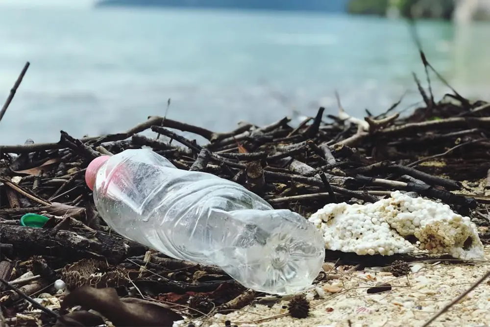 7 Reasons Why You Should Recycle: Enhance Your Eco-Friendly Business & Food Service Strategy