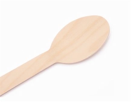 Disposable Wooden Spoon 6.3''