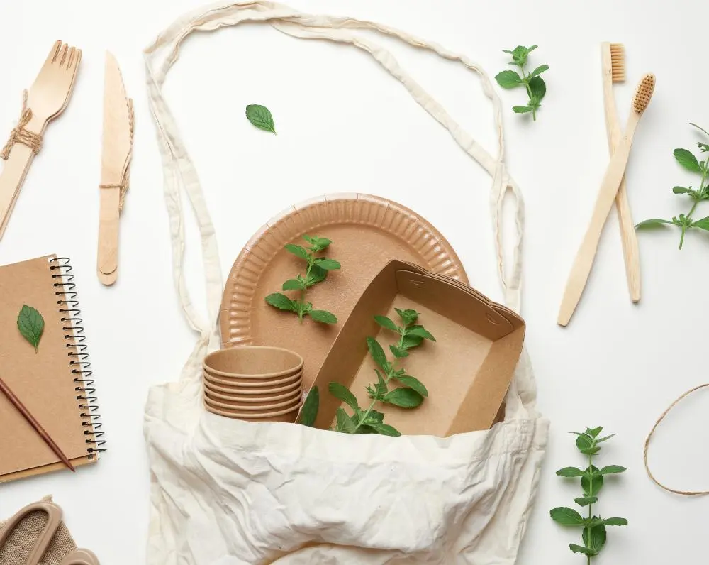 Disposable Bamboo Plates