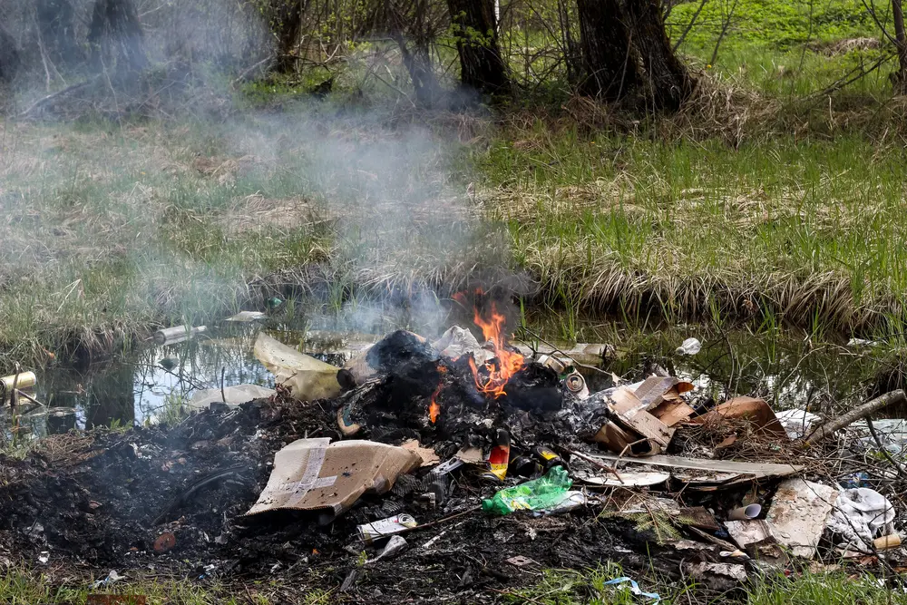 Incineration of domestic waste