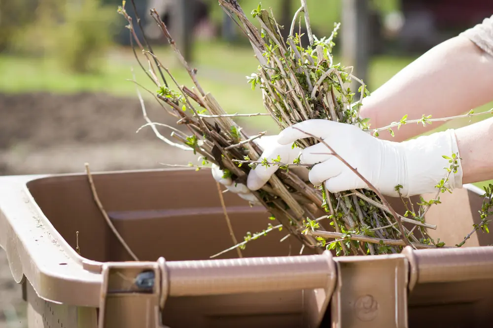 Why Composting is Great for the Environment