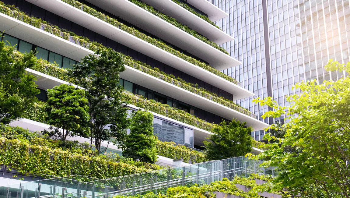 15 Sustainable Use Practices for Business