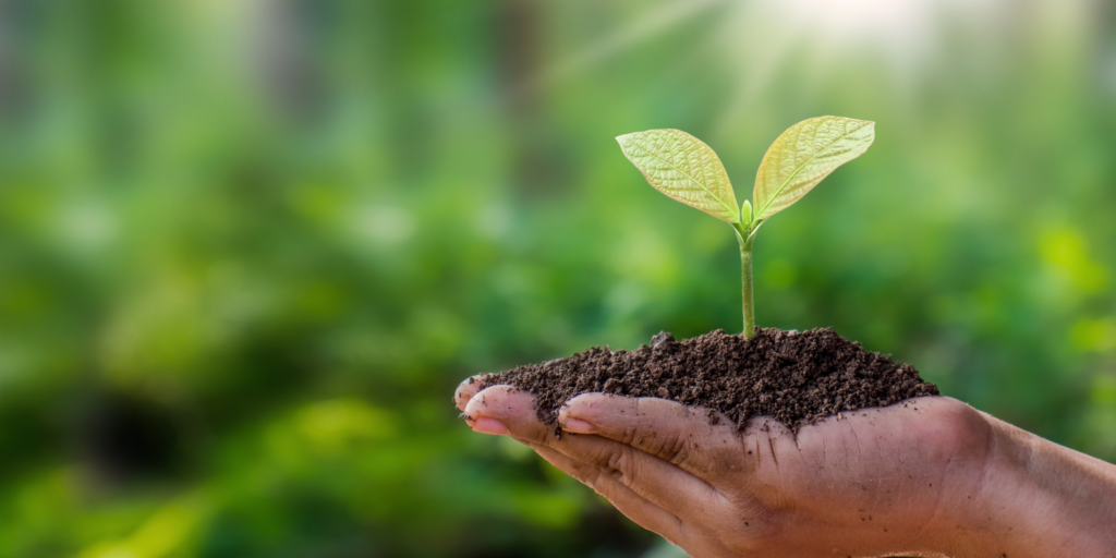 Why is Sustainability Important in Business?