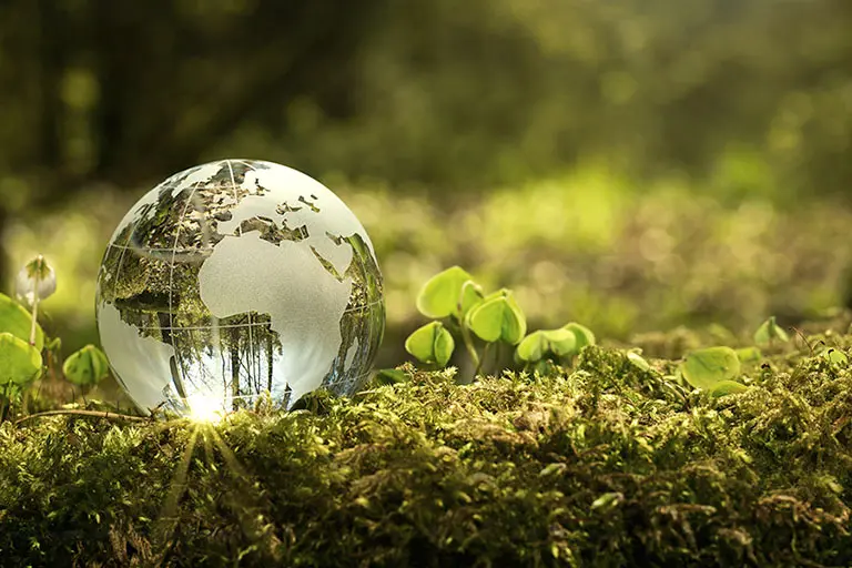 15 Sustainable Use Practices for Business