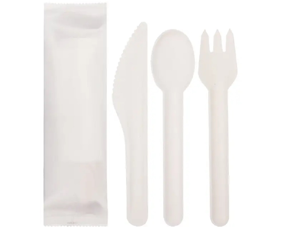 Bagasse Disposables