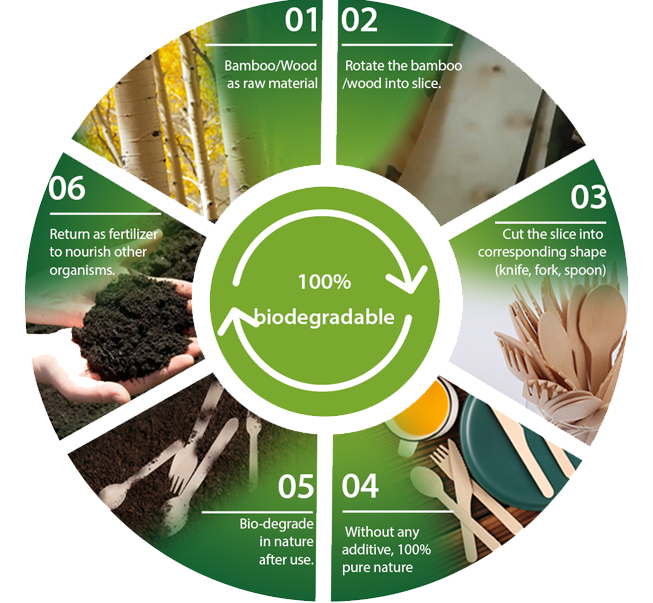 Biodegradation process for sustainable disposable tableware.