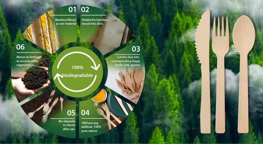Decomposition process of biodegradable disposable tableware