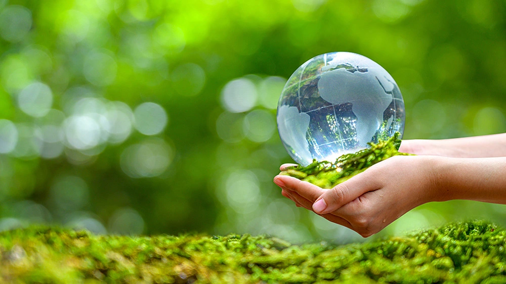 Benefits of Using Compostable Utensils