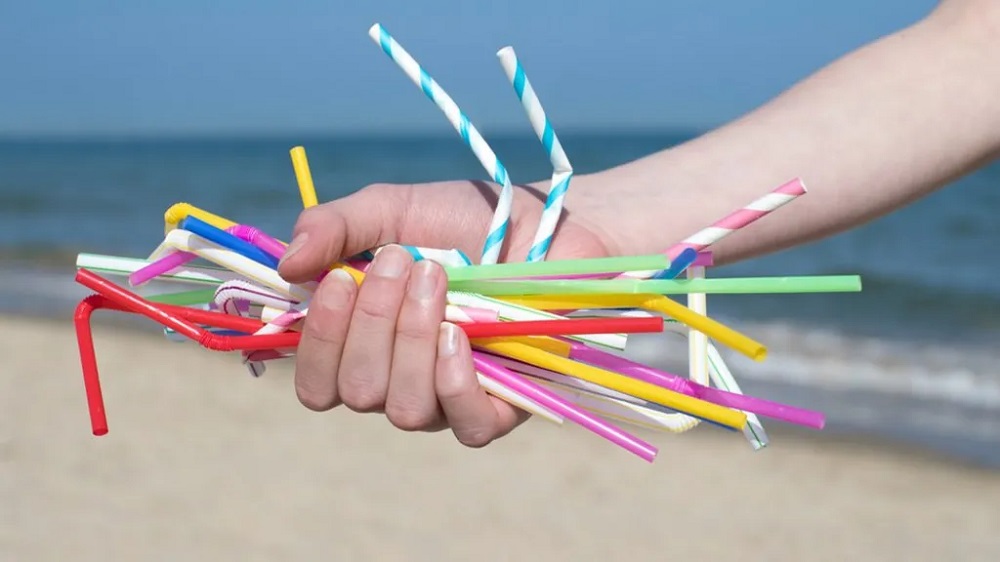 Disposable plastic straws collected by the beach.