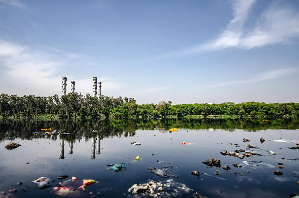 The Environmental Impact of Plastic Cutlery