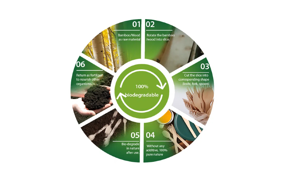 Biodegradation processes in plant-based disposable tableware.