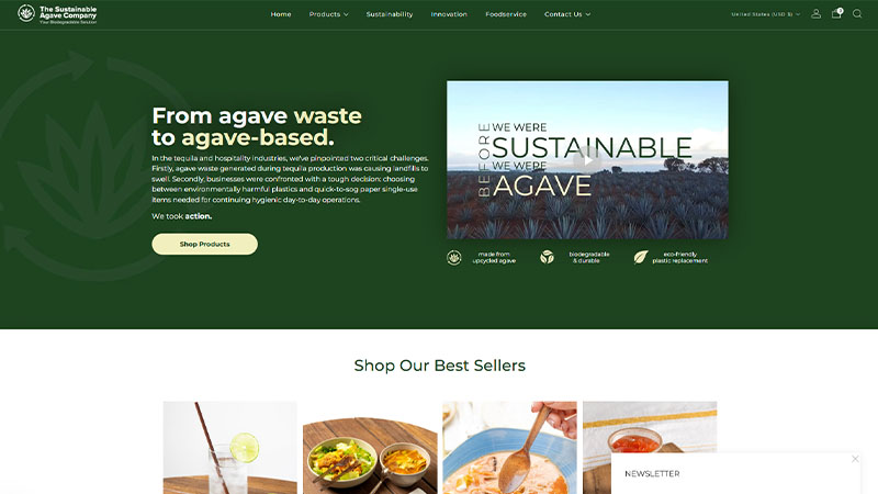The Sustainable Agave Company