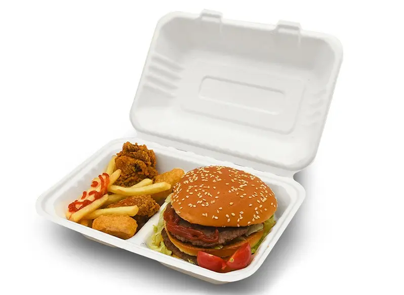 bagasse food container