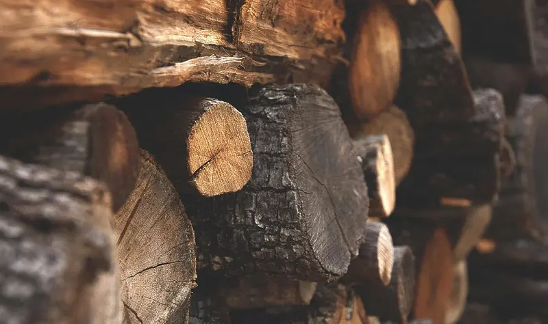 Wood and Timber