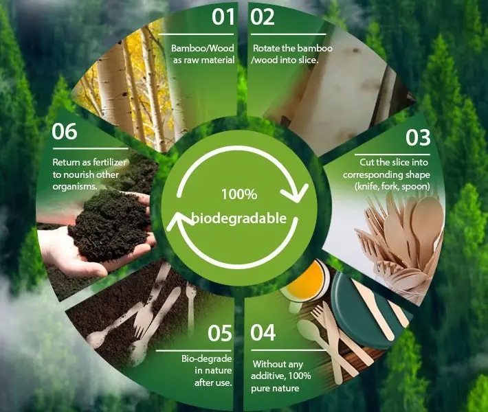 The journey of bamboo and wood cutlery from raw materials back to the environment.