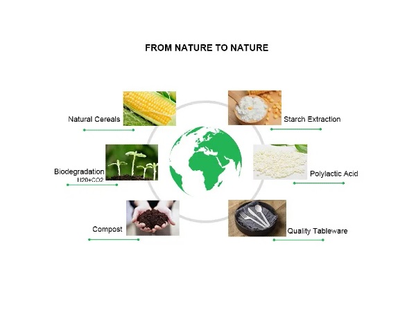 Life cycle of cornstarch tableware