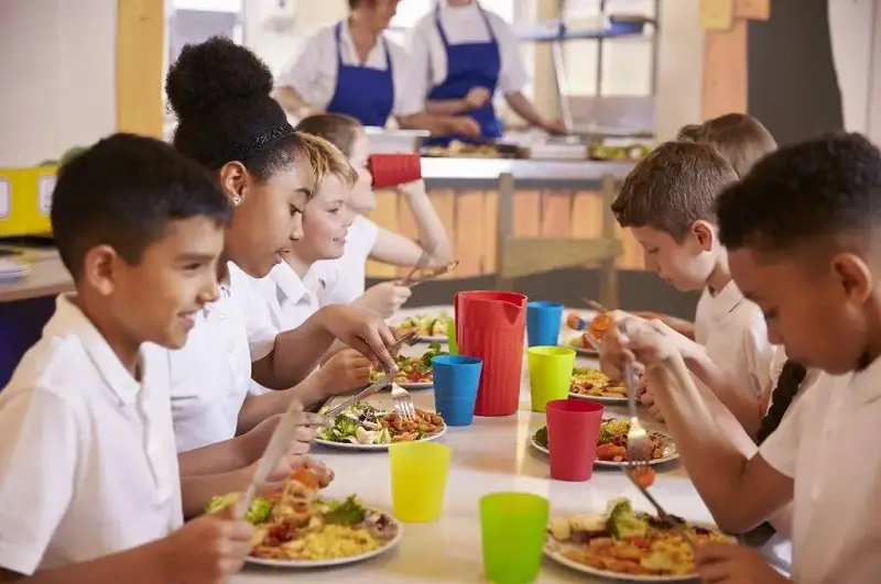 School cafeterias use disposable wooden plates to serve student lunches.