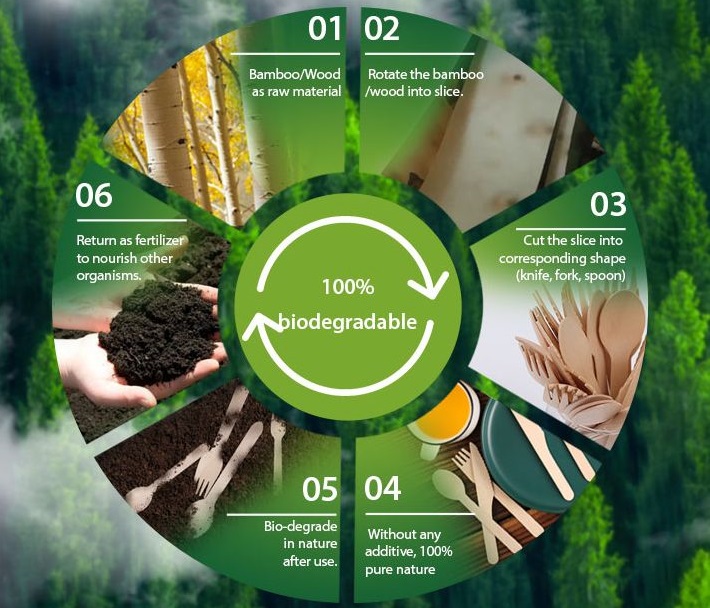 The recycling process of biodegradable tableware.