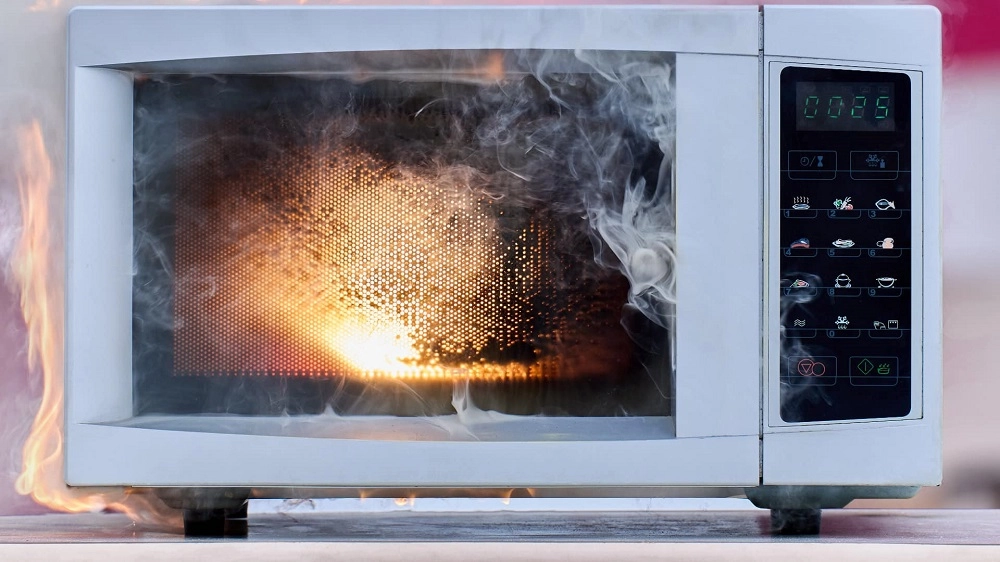 The paper plate caught fire after being heated in the microwave for too long.