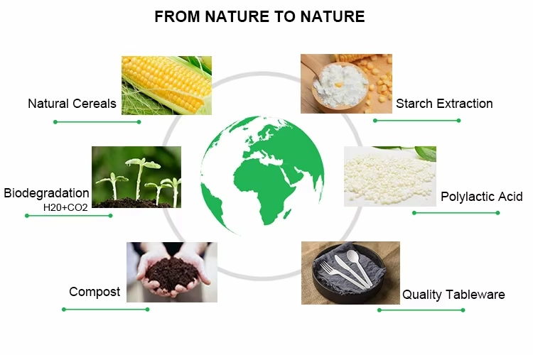 life cycle of pla products