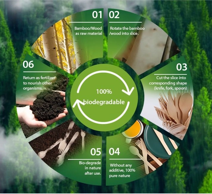 The lifecycle of sustainable bamboo products.