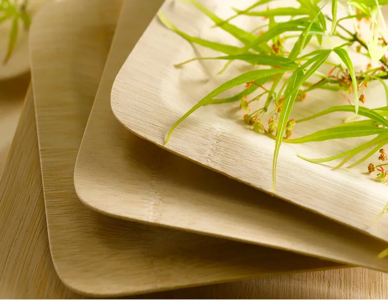 Sustainable Bamboo Plate