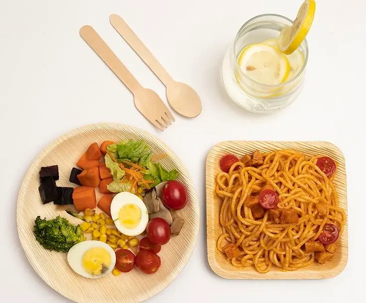 eco disposable plates, spoon and fork