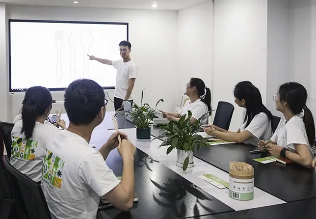 The design team is designing customized disposable wooden tableware.