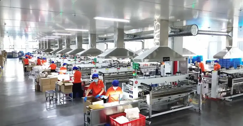 Disposable Tableware Factory