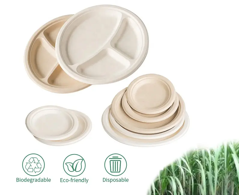3-compartment plates and dinner plates.