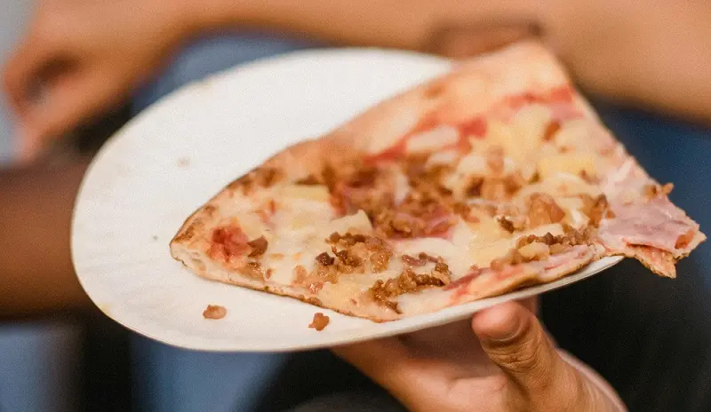 disposable paper plate