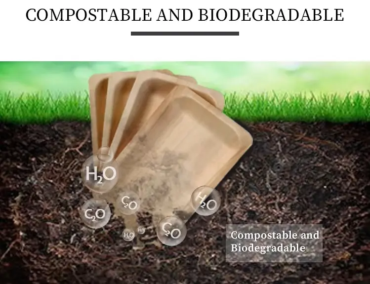 The composting process of wooden dinner plates