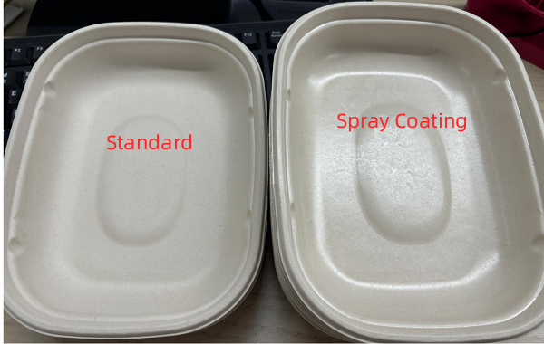 Comparison of Conventional and Spray-Coated Food Containers