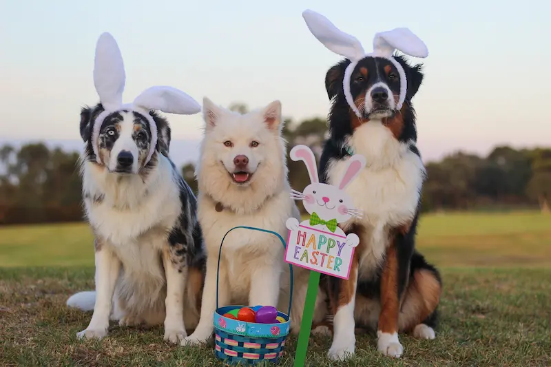 Easter Community Event