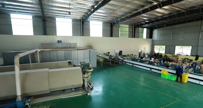 Ancheng Disposable Cutlery Production Line.