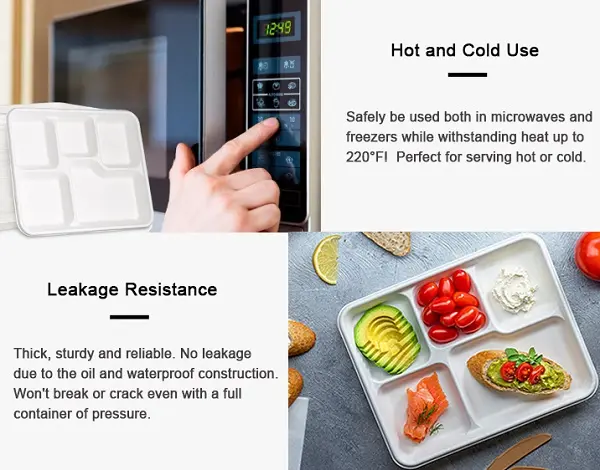 benefits of bagasse tray
