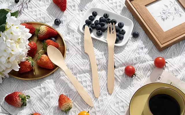Wooden Cutlery