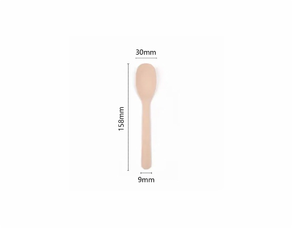 Disposable Birch Wood Spoon 6.2''